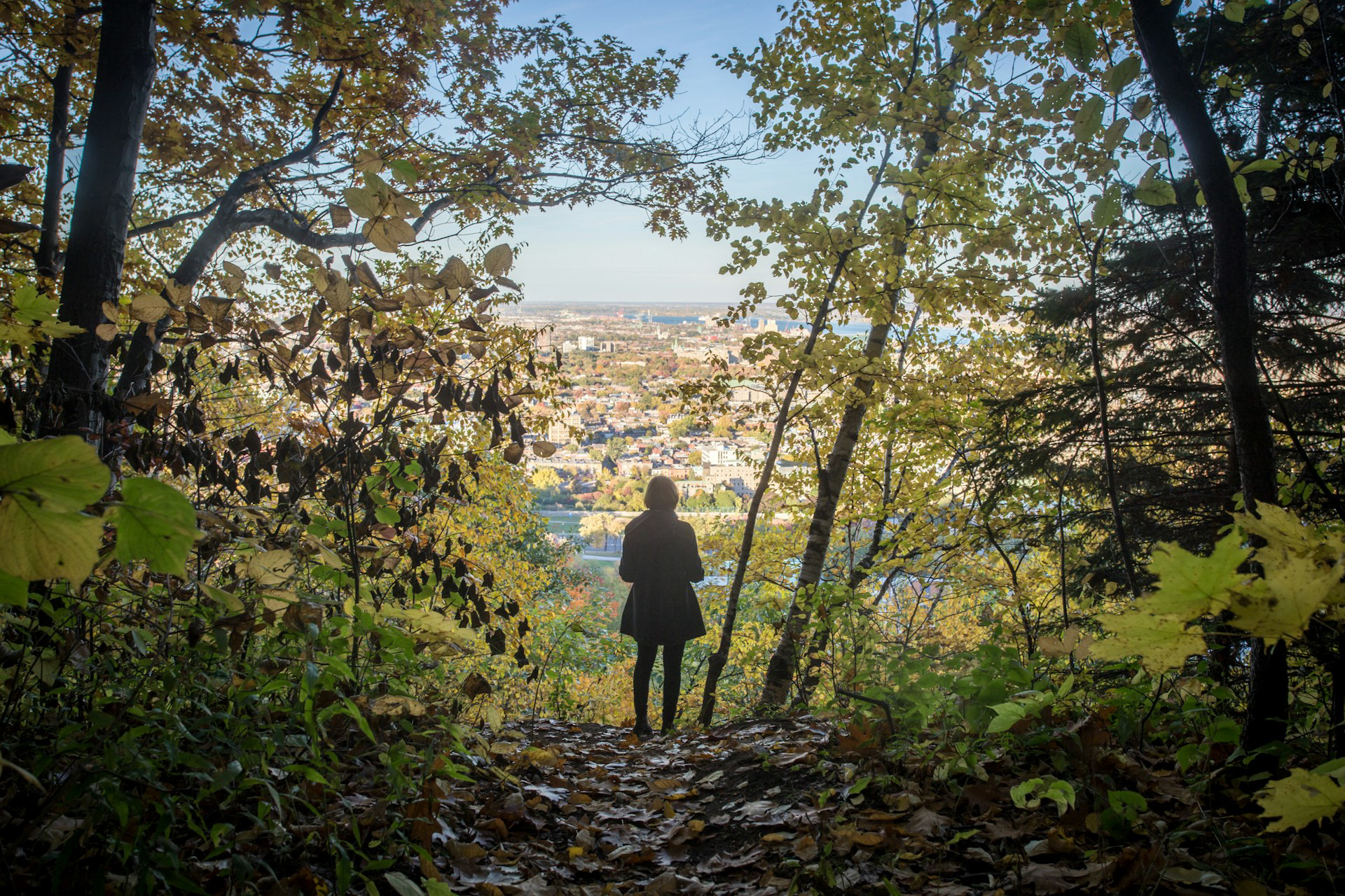 Gratitude as Medicine